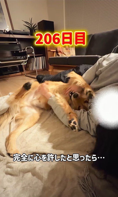楽しそうにじゃれ合う2人♪