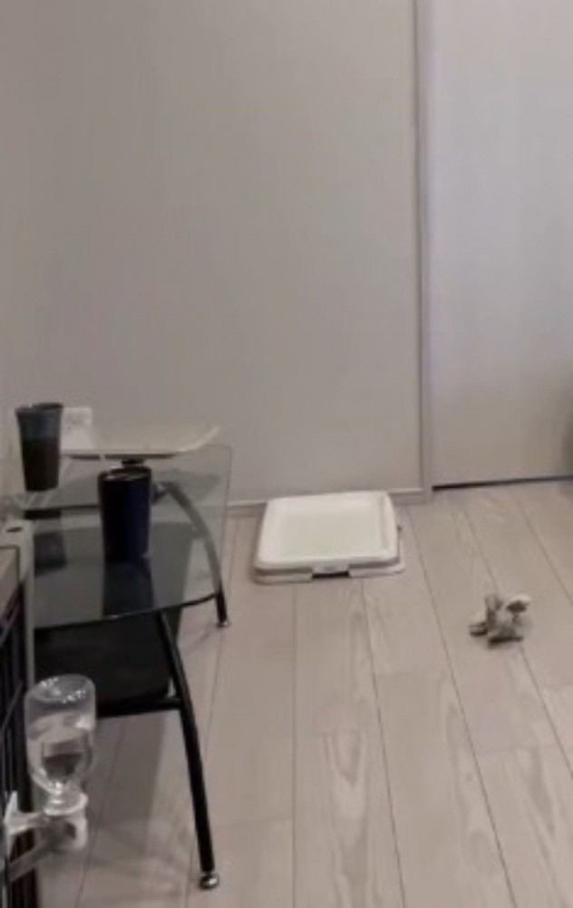 静まり返った部屋の中