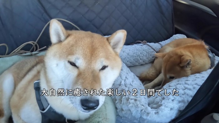 帰りはぐっすり眠っていたとか