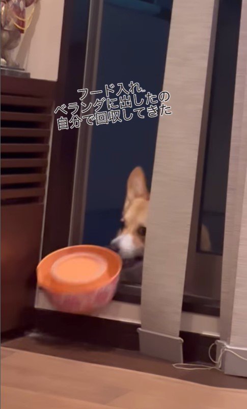 食器を回収するかのんちゃん6