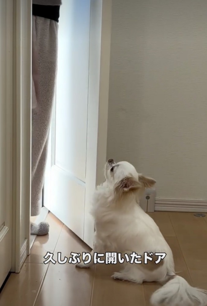 やっと会えました…！
