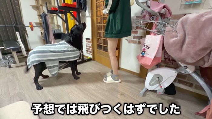意外と控えめな態度でご挨拶