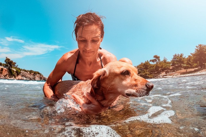 女性に連れられて海につかる犬