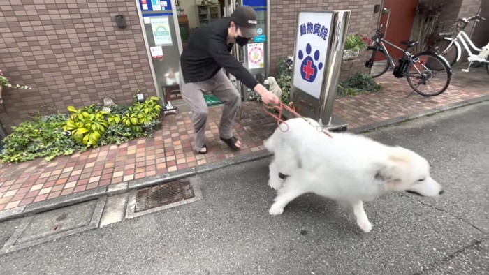 …からの猛ダッシュ！