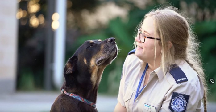 上を向く犬と制服を着た女性