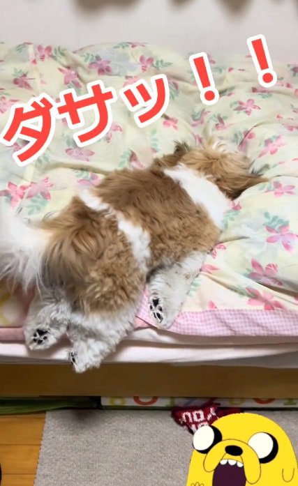 布団へダイブする太郎くん