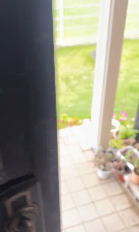 外で遊んでいた幸太郎くんと凛ちゃん