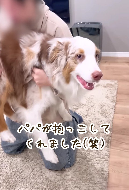 パパが抱っこすることに…