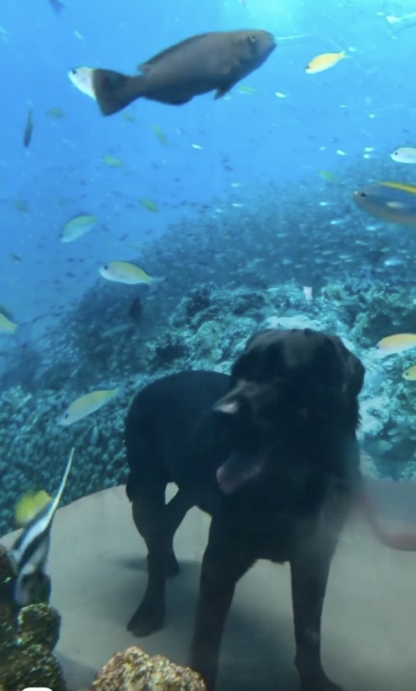 水族館