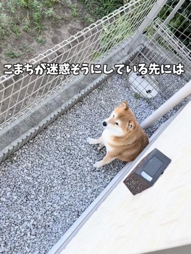 「困ったわぁ」