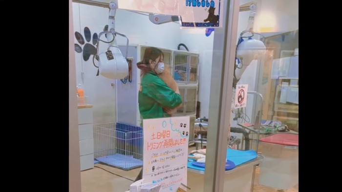 無抵抗で連れて行かれました