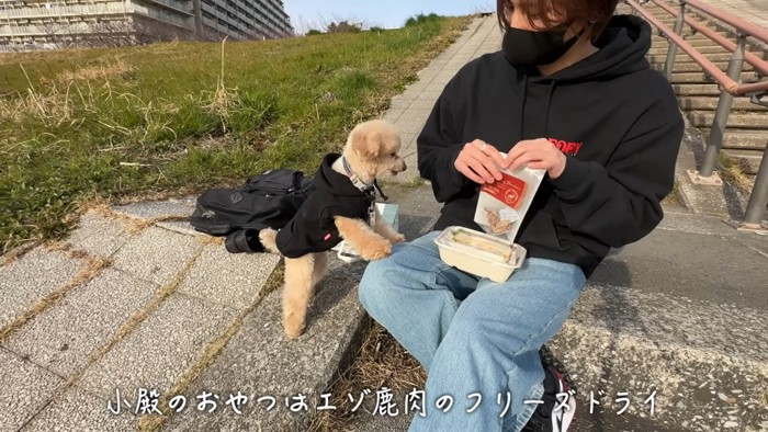 階段に座る男性と犬