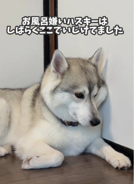 悲しい表情