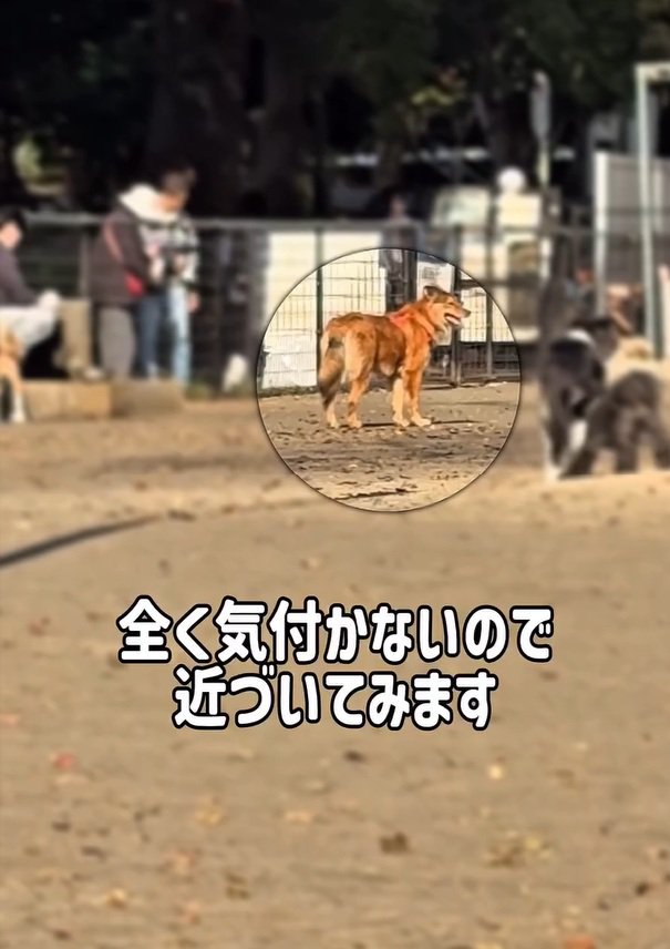 まったく気づかないラッキーくん