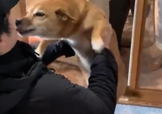 幸せ