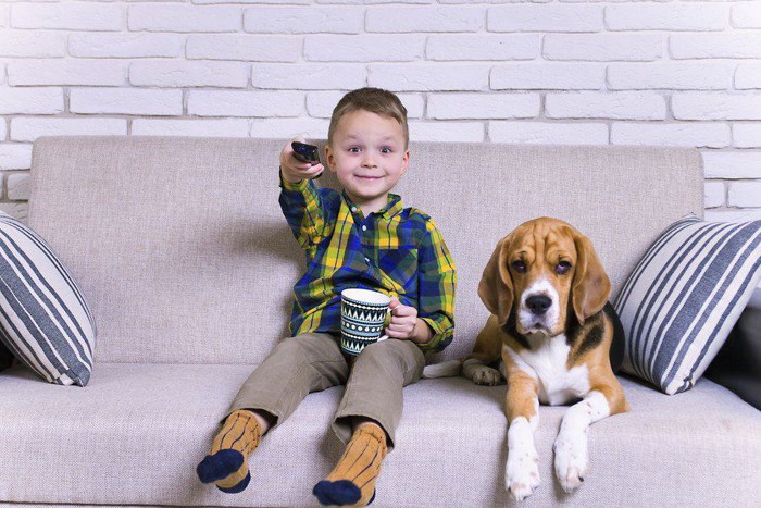 リモコンを持つ子供とソファーに座る犬