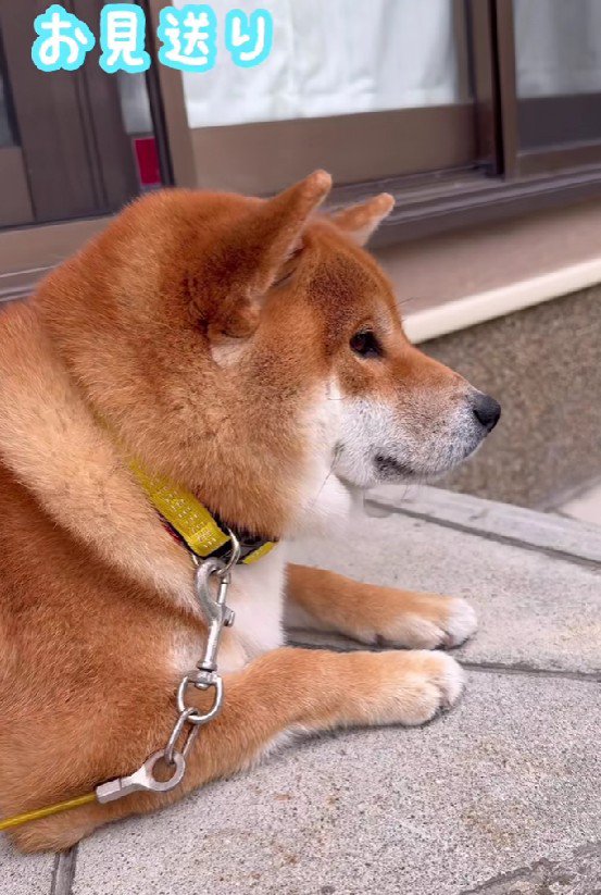 別れの時間もセット…