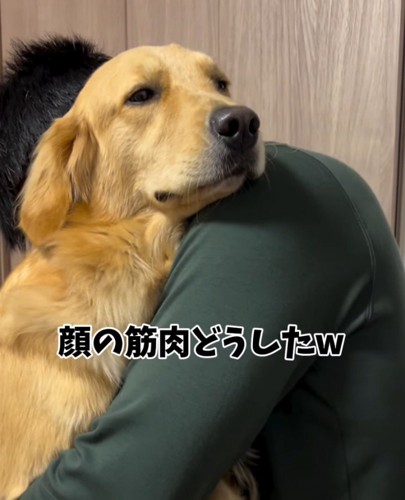 男性に抱っこされて固い表情になっている大型犬
