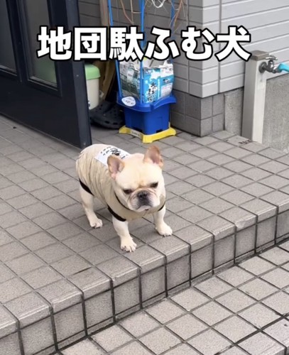 すでに顔が不機嫌