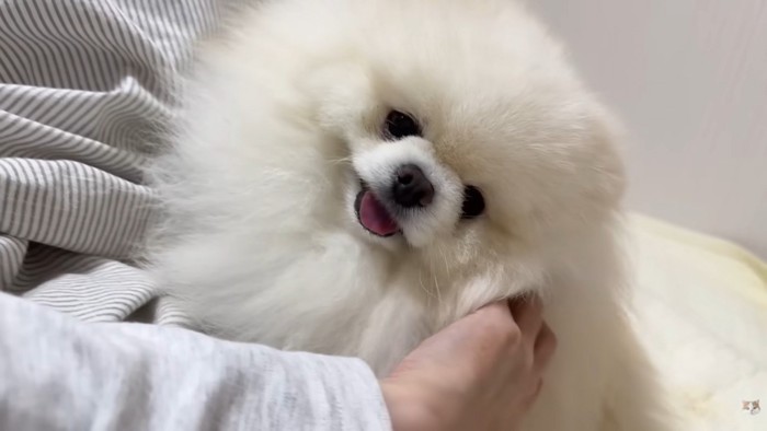 幸せそう♡