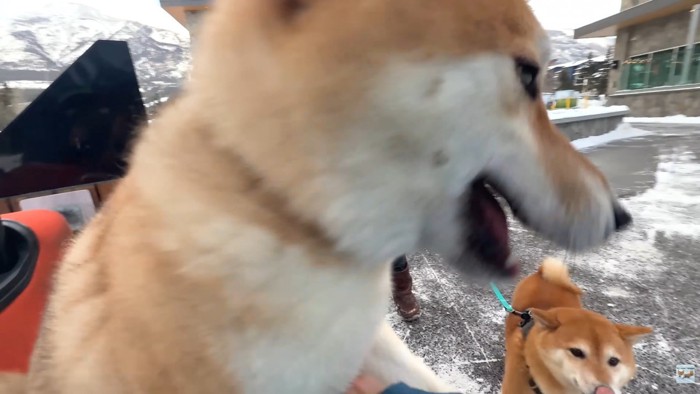 飛びついて熱烈歓迎♡