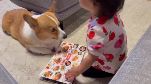 いなり君に読み聞かせをする女の子6