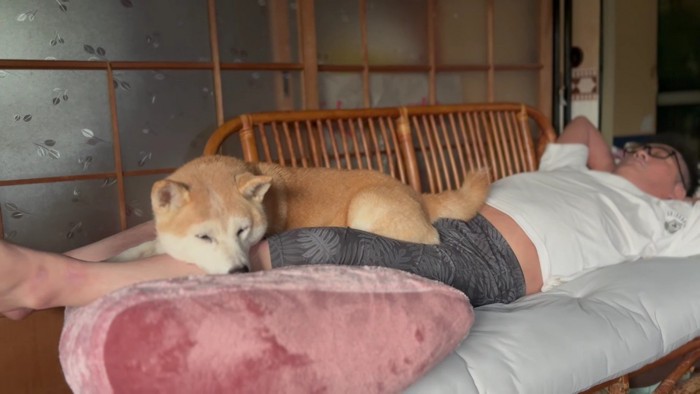 現在のももちゃんは14歳!