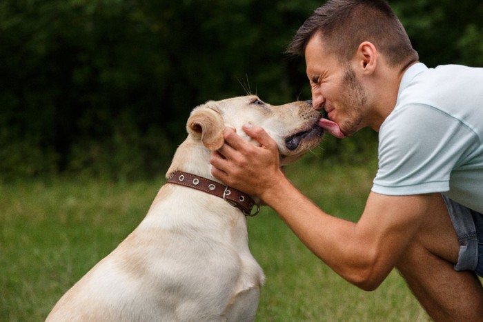 向かい合って鼻を舐める犬と男性