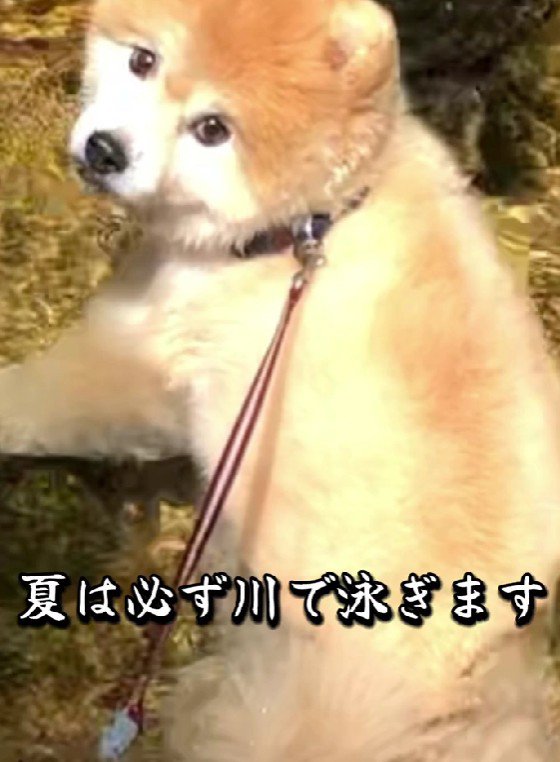 水遊びが大好きなのだそう