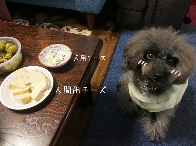 犬用チーズとエマさん