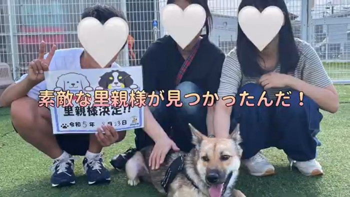 愛子ちゃんが家庭犬になるまで10