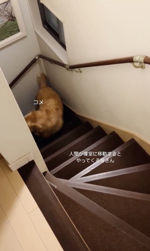 じーっ…
