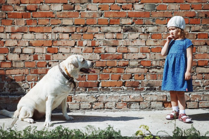 犬と女の子