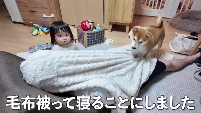 毛布をかぶってみる