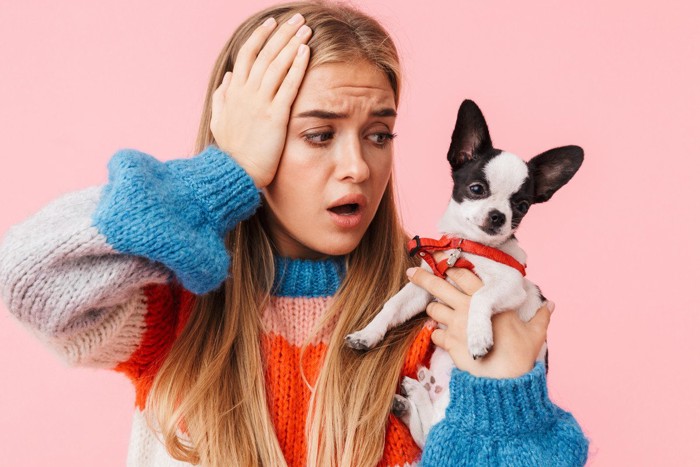 子犬と女性