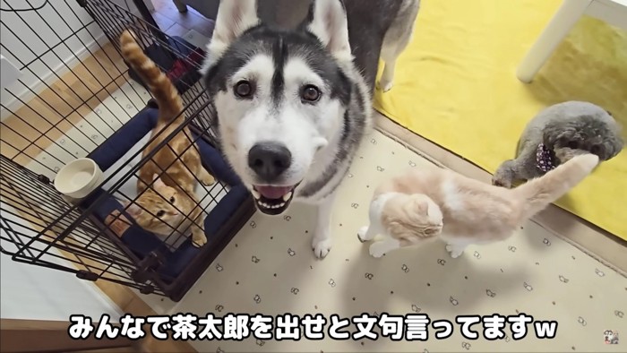 最後はみんなで猛抗議！！
