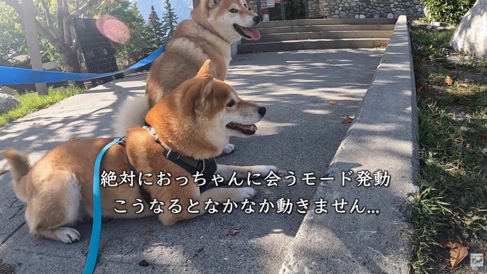 頑固なところも愛おしい♡