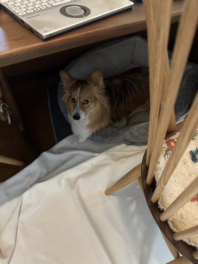 隠れる