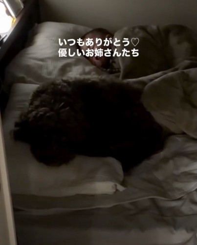 ママは2匹への感謝でいっぱい
