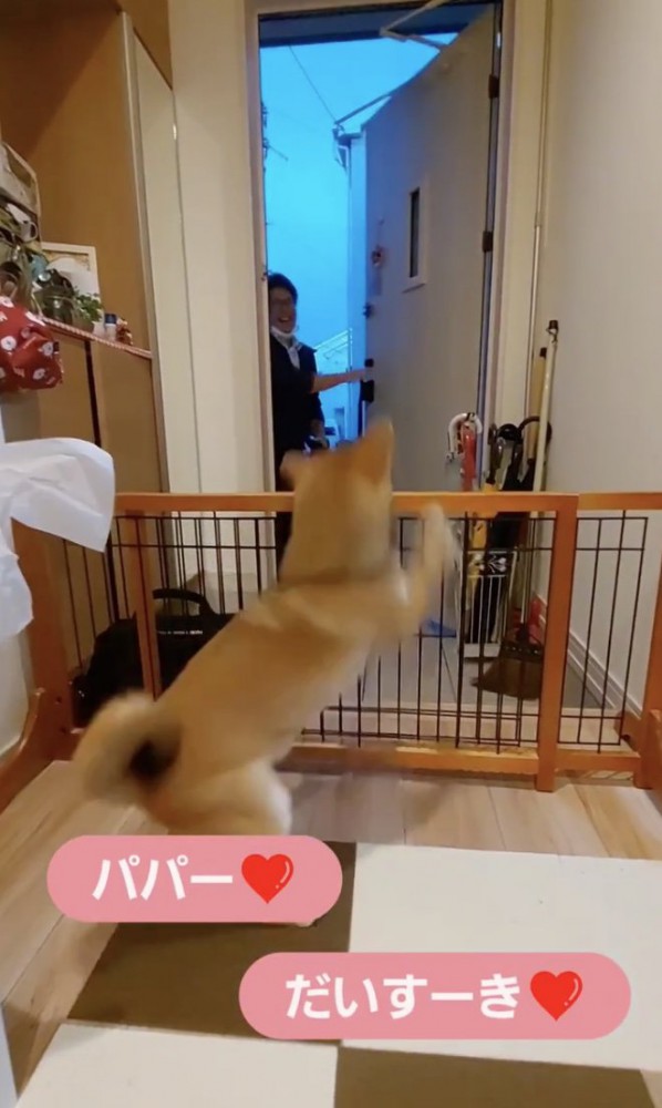 「パパァァァ！」