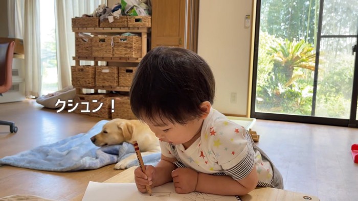 ゴンちゃんがくしゃみを連発