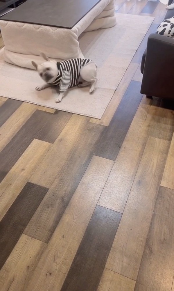 こてんっ