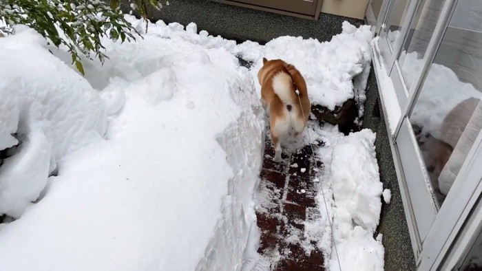 無事、生還！！