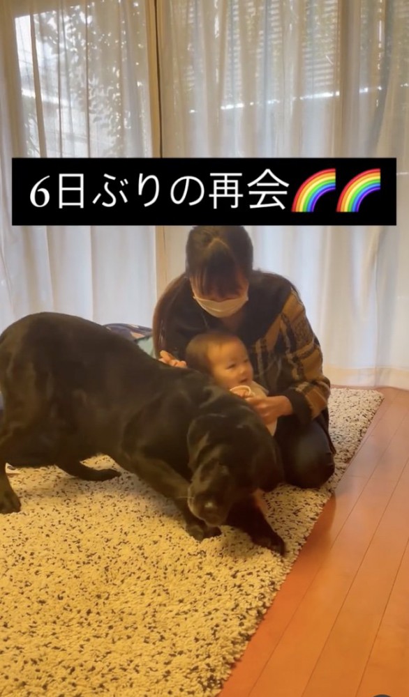 今日からはずっと一緒