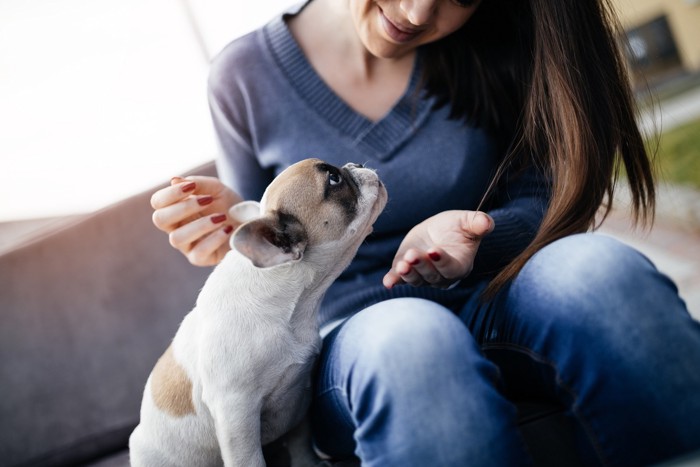 犬と人