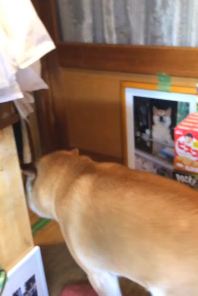 いそいそと店の奥へ…