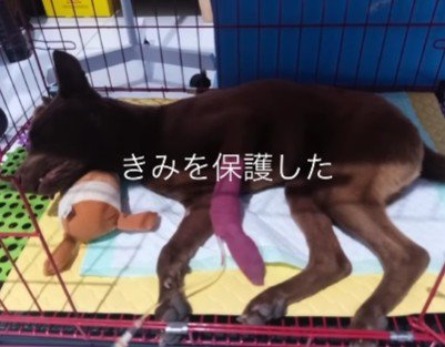 重篤な後遺症が残った…