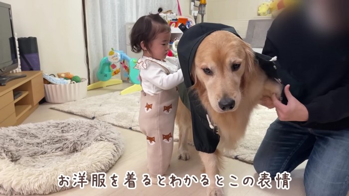 おからちゃんはカッパが苦手