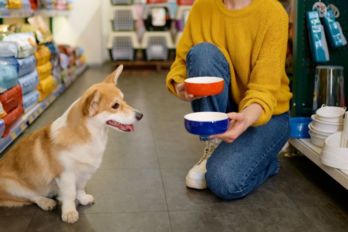 フードボウルを選ぶ女性と犬