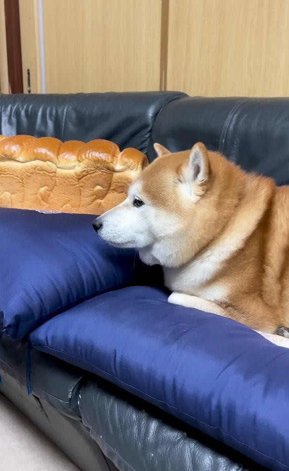 あるイタズラをしかけてみることに